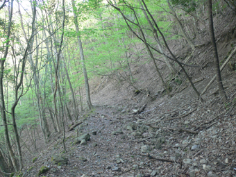 登山道