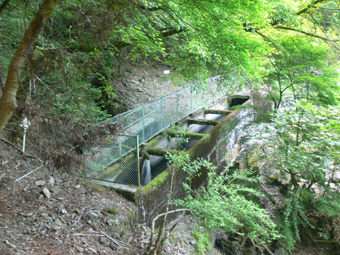 登山道