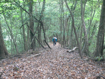 登山道