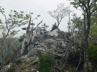 登山