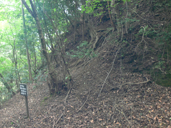 登山口