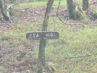 分岐点