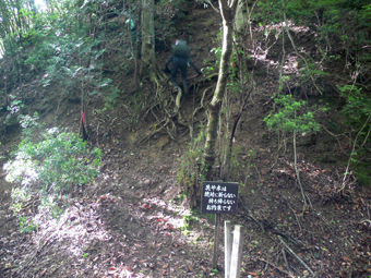 登山口