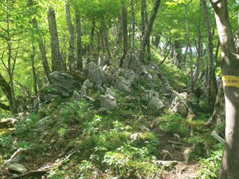 登山道