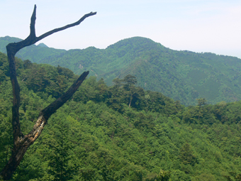 目丸山