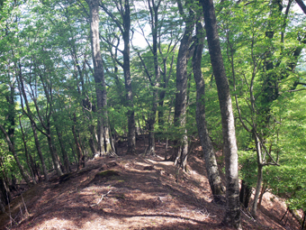 登山道