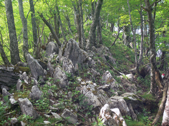 登山道