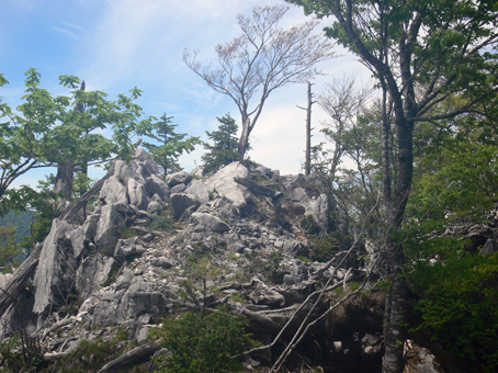 山頂