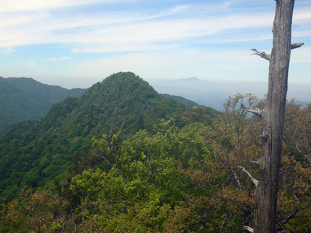 山頂