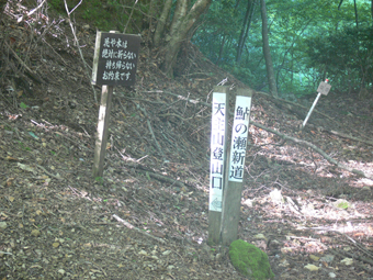 登山口