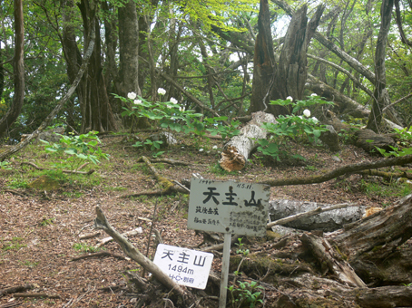 山頂