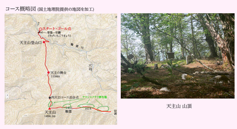 天主山