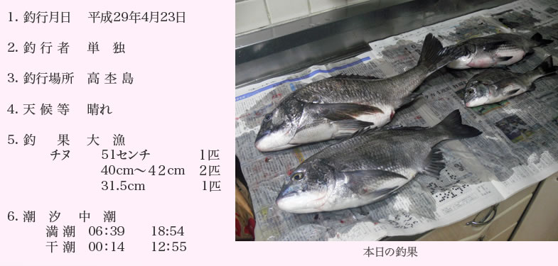チヌ釣り